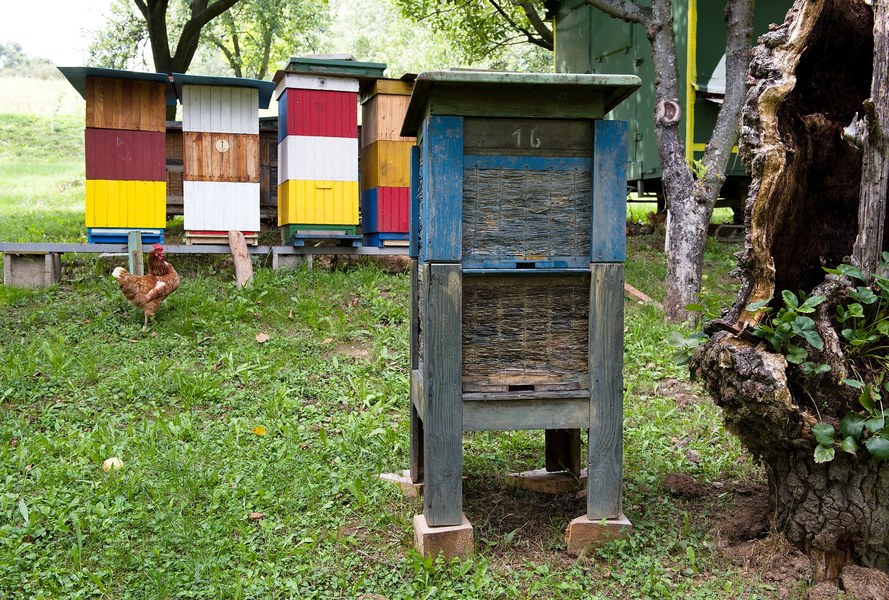 Slameno-drevený úľ z Hostia 001-01