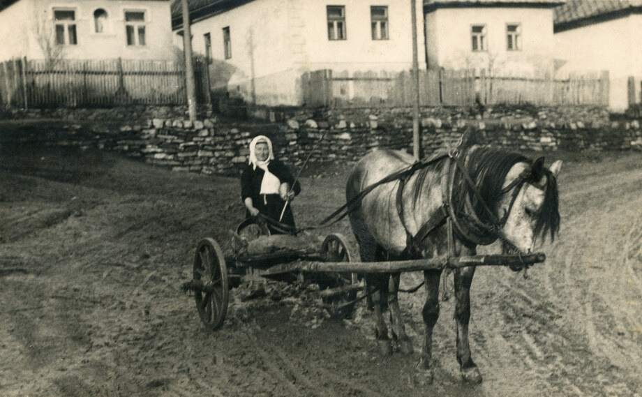 Dvojkolesová kára s konským záprahom z Lendaku 001-01