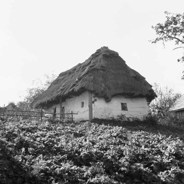 Obytný dom vo Veľkej Lehote 001-01