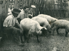 náhľad