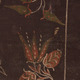 Truhlica z Bobrovca 001-03